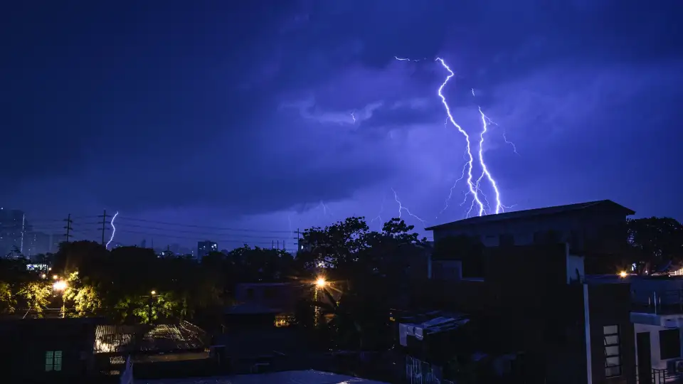 pexels photo 6635299