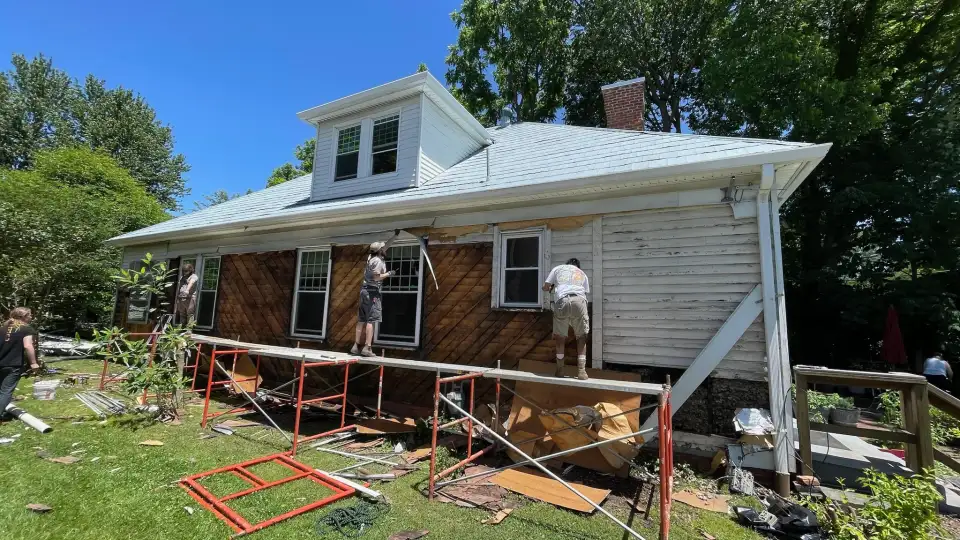 untitled album   10 of 17