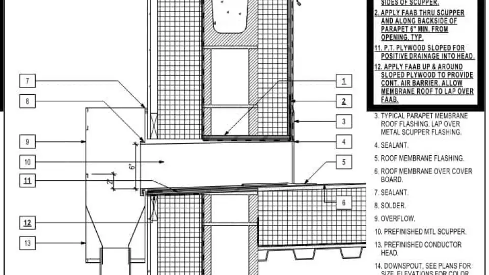FIGURE 1 scupper dtl