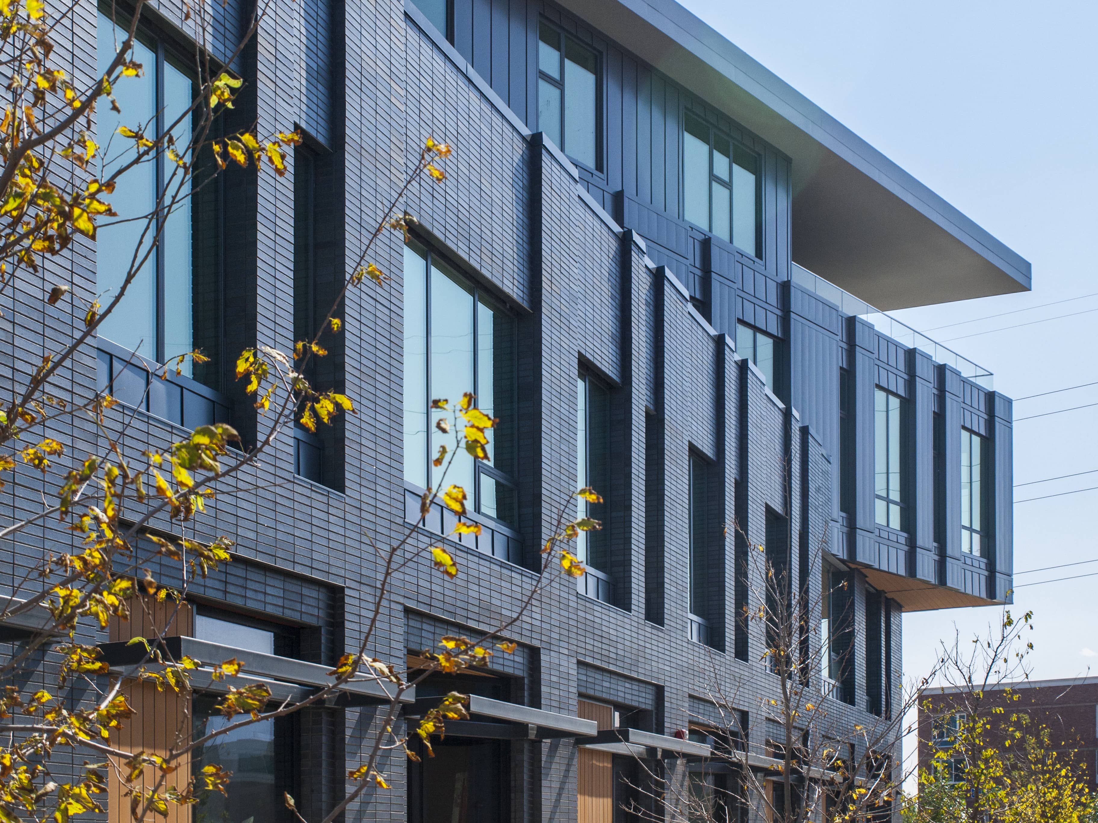 Fullscreen Gallery Image