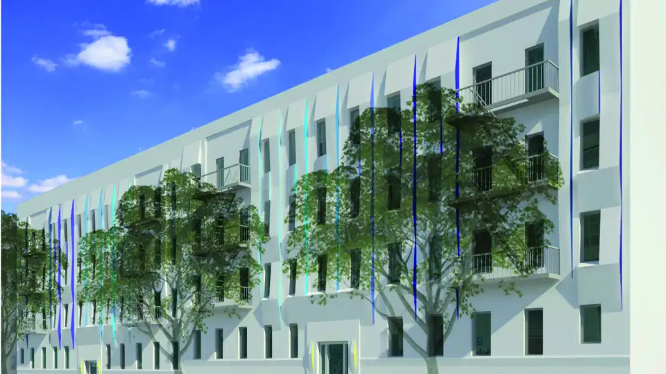 RiseBoro After Drawing