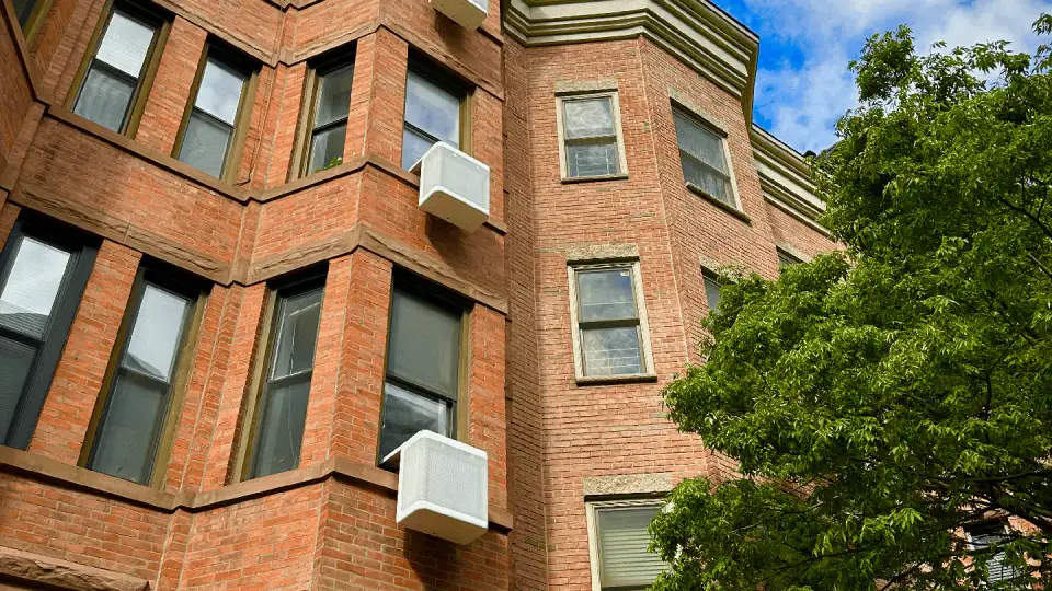 Copy of Copy of Copy of IMG 2506