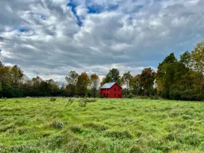 picture 2 1719544933