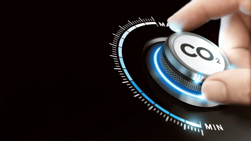 Skylar Zack article featured image