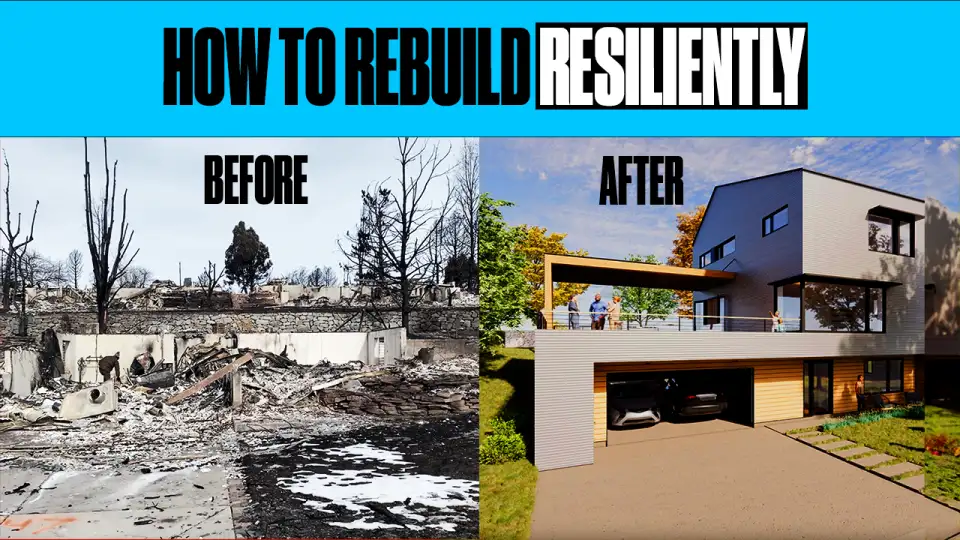 sunflower v08 1723494150